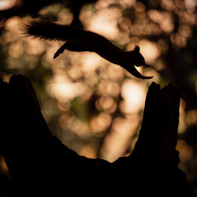 Un saut dans l'obscurité