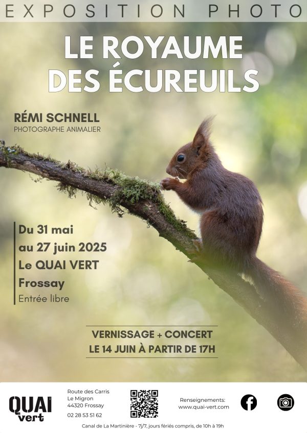 Affiche expo écureuil - Rémi SCHNELL